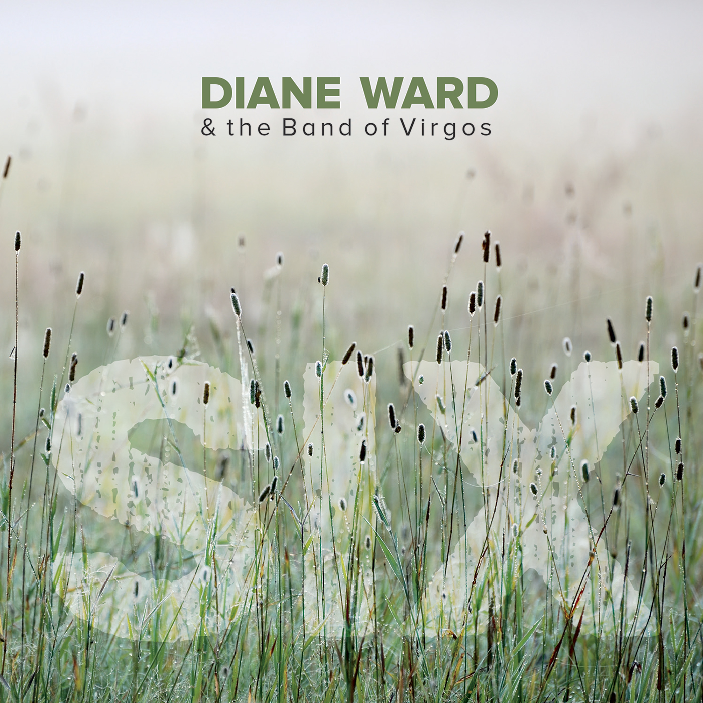 Diane Ward & the Band of Virgos - "Six" Diane Ward & the Band of Virgos - "Six"