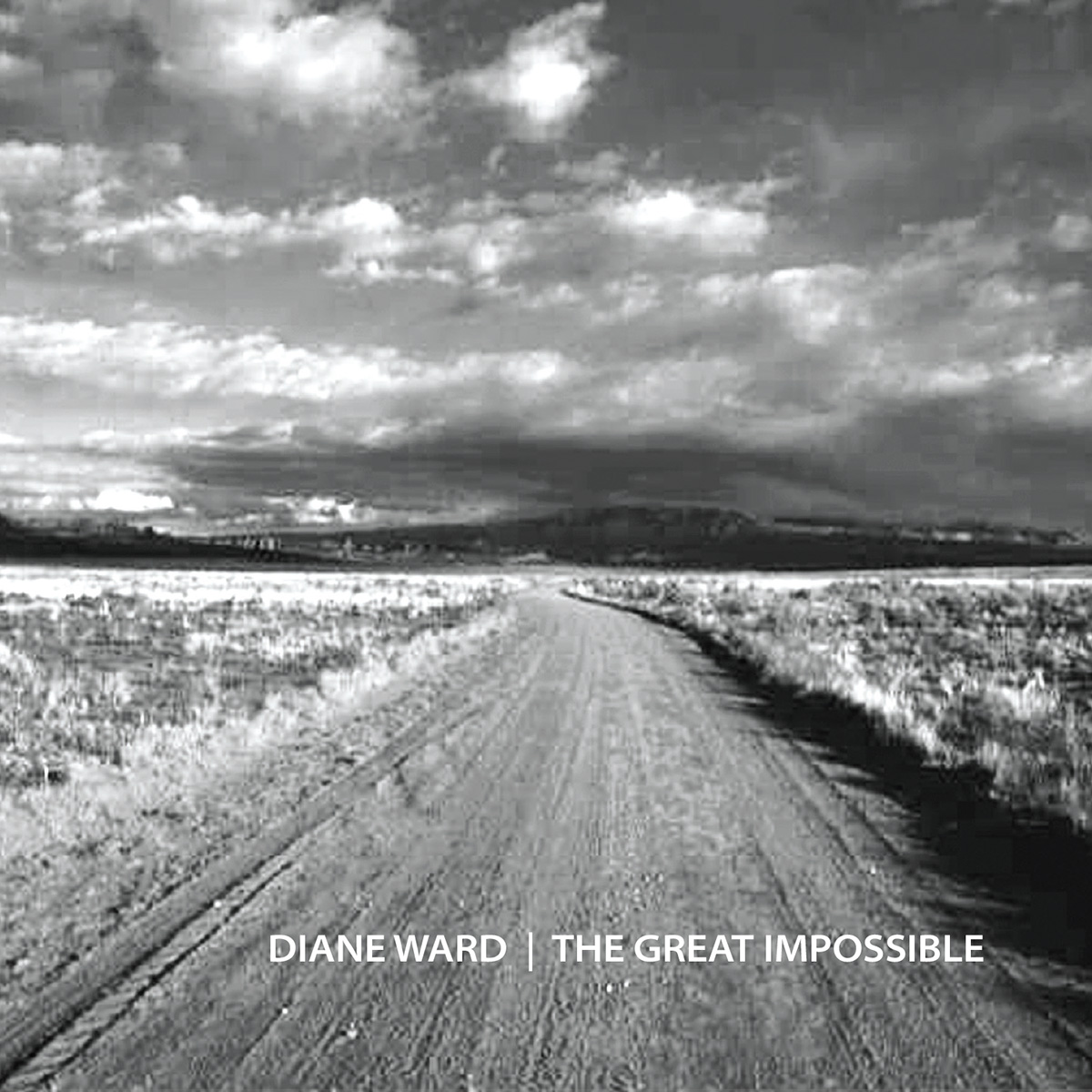 Diane Ward - The Great Impossible
