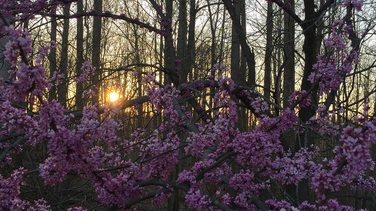 Spring 2016 Nashville, TN
