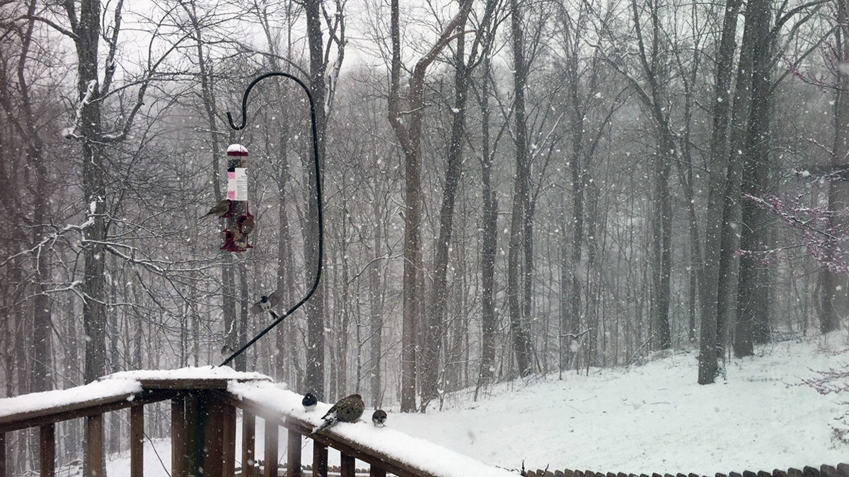 POST-041117-1200×675 Snow in March?