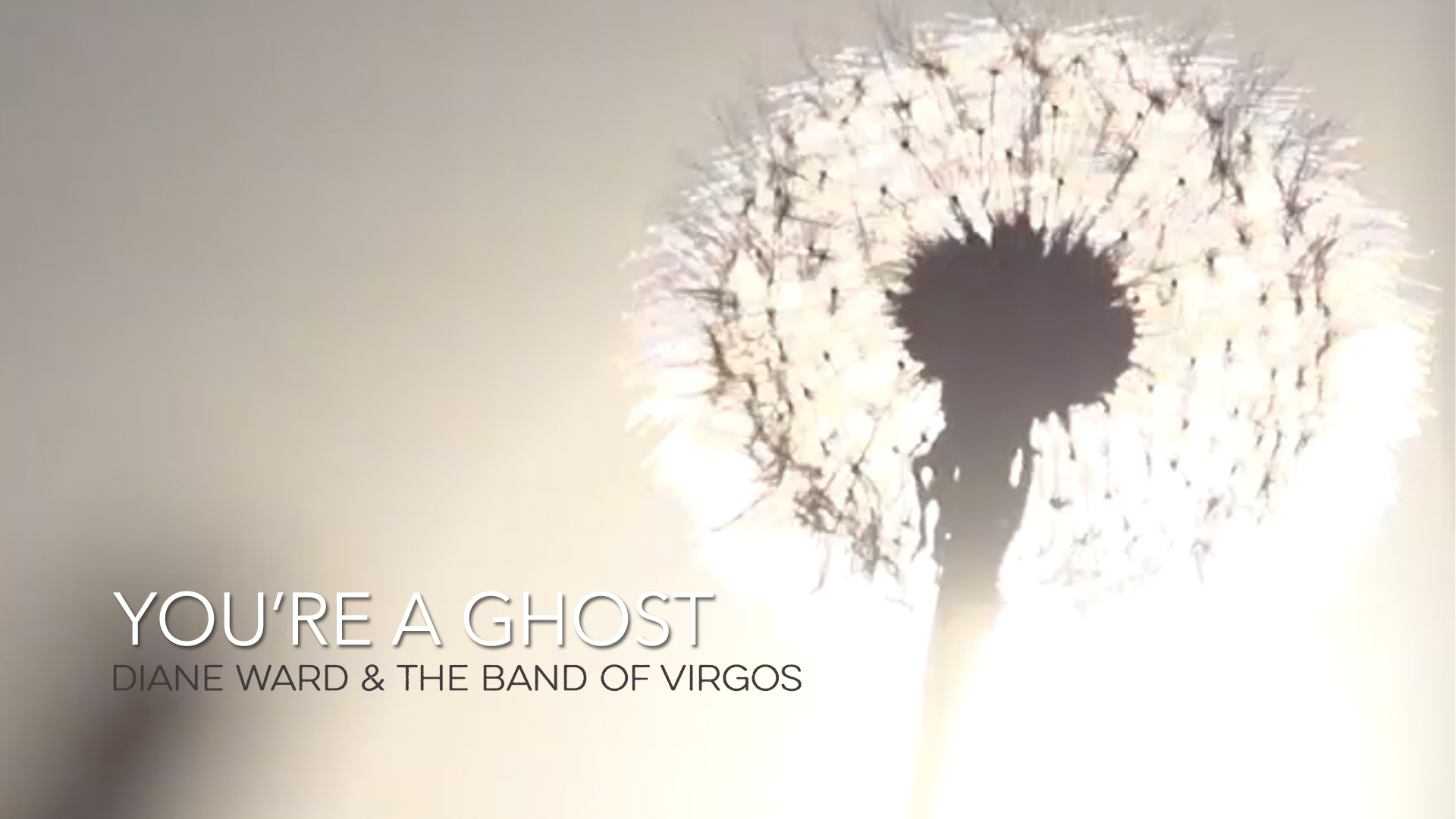 "You're a Ghost" - Official video from the album, "SIX" by Diane Ward & the Band of Virgos.